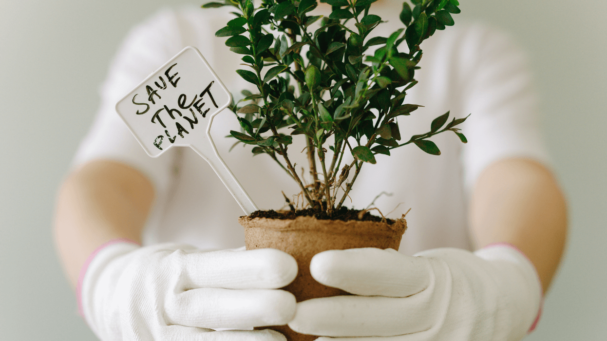 10 abitudini green da rispettare tutti i giorni