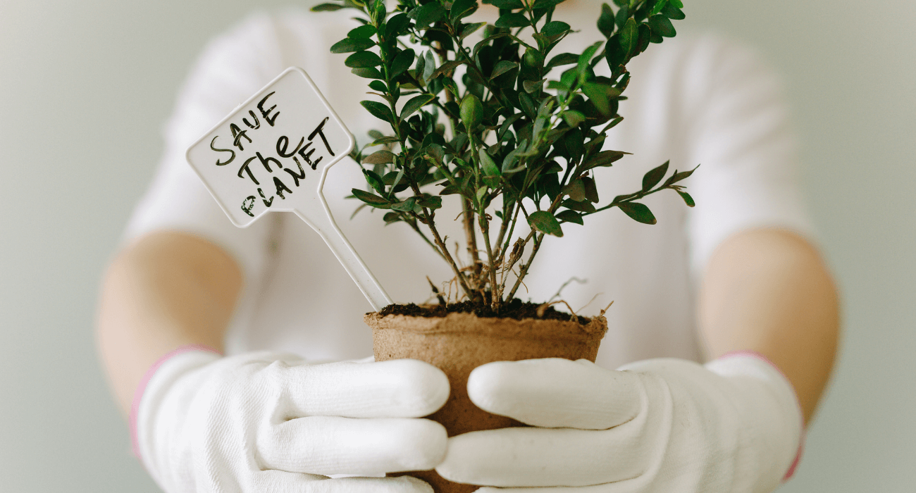 10 abitudini green da rispettare tutti i giorni